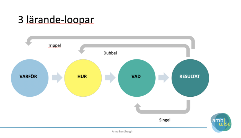 [:sv]3 lärande-loopar[:en]3 learning loops[:] - Anna Lundbergh